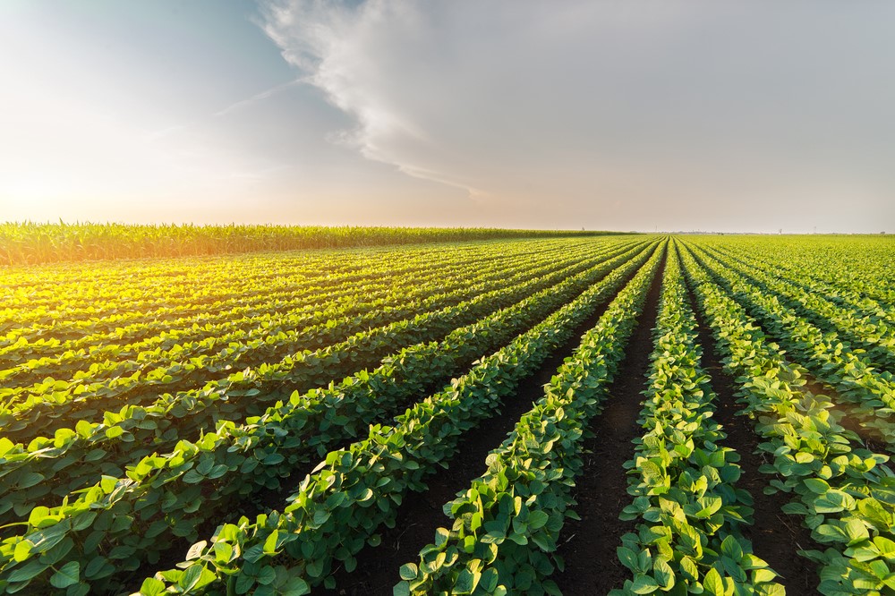 Is Now A Good Time To Invest In Agricultural Land?