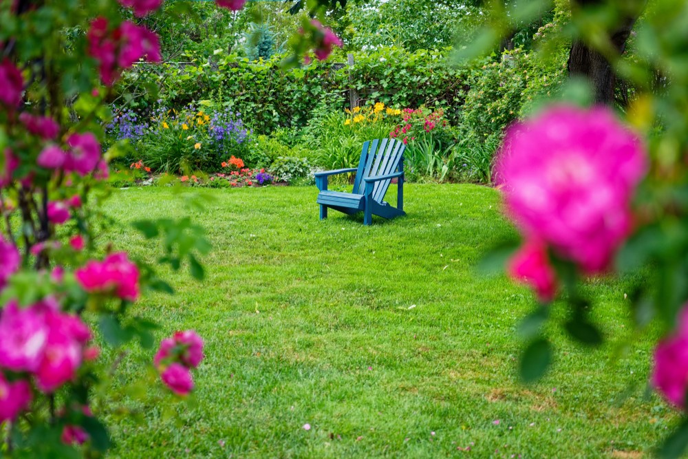 How to turn neglected backyard into outdoor oasis