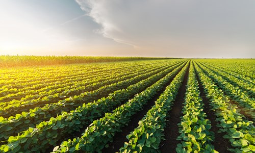 Is Now A Good Time To Invest In Agricultural Land?