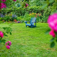 How to turn neglected backyard into outdoor oasis