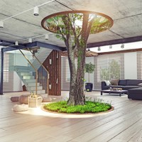 Six ways to design energy efficiency into your renovation