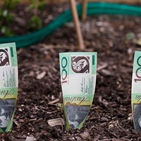Super contribution caps increased on 1 July