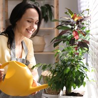 Things to do today that your future self will thank you for